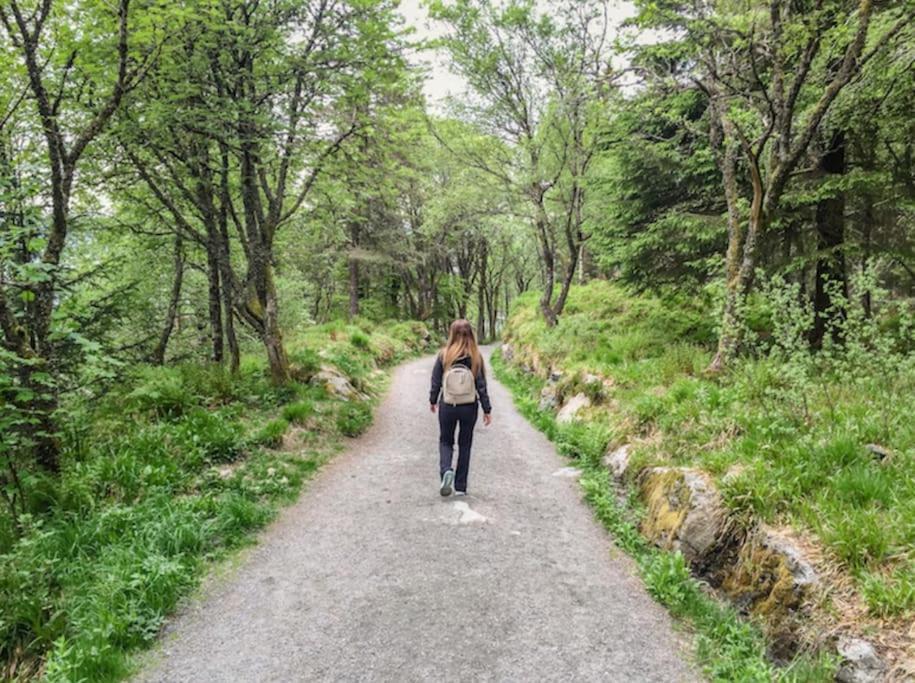 Fresh Studio Apartment, A Short Walk From Bryggen Bergen Buitenkant foto